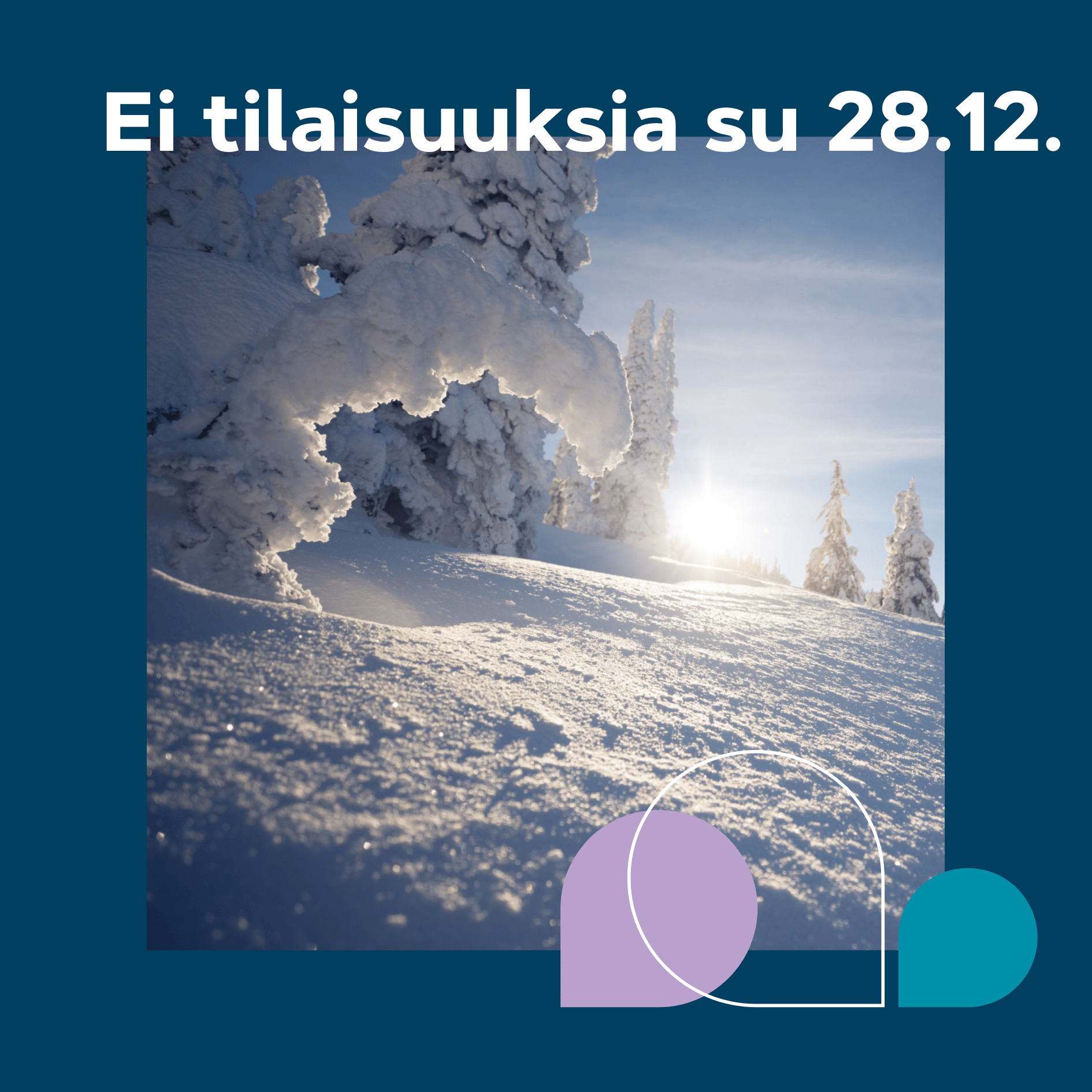 Ei tilaisuuksia 28.12. Kirkas, kuulas luminen metsä, havupuu oksat taipuvat lumen painosta.